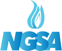 NGSA